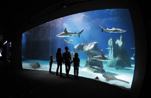 Genoa Aquarium entrance ticket with lunch