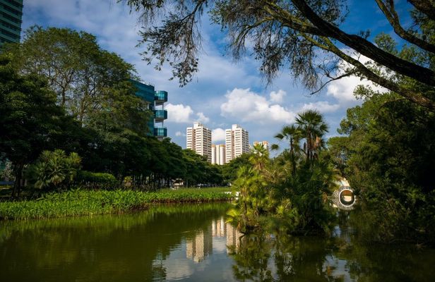 Tour of the heartlands of Singapore