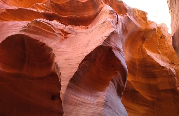 Lower Antelope Canyon and Horseshoe Bend Tour from Las Vegas