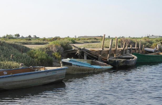 Ebro Delta Guided Tour