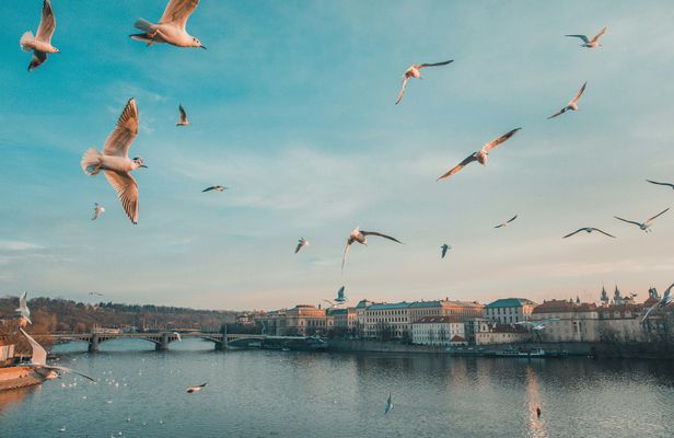 Prague's most photogenic spots walking tour with a local