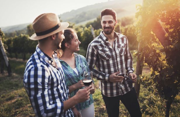Guided half-day Mount Tamborine winery tour with lunch