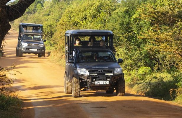 Yala National Park safari from Bentota region