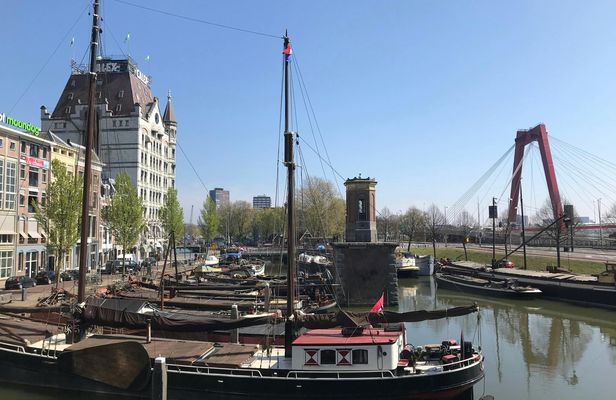 Private Rotterdam walking tour from past to present with the Depot
