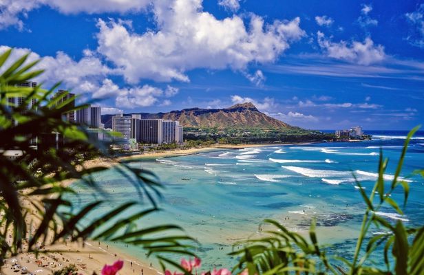 Daytime Waikiki glass-bottom boat tour