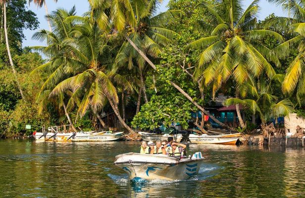 Madu River private boat cruise from Bentota region