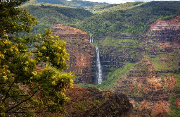 Waimea Canyon and Koke'e Adventure Tour