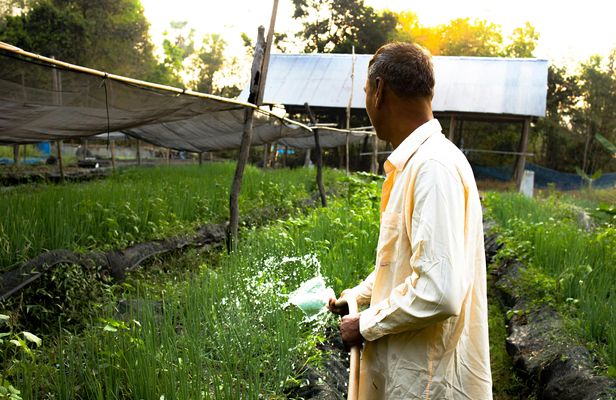 Community village full-day private tour from Siem Reap