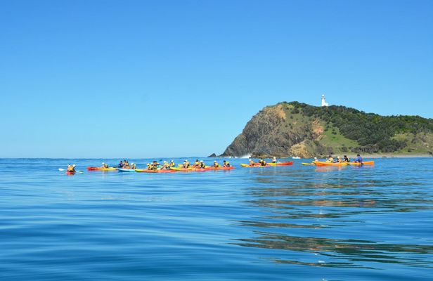 The Byron Bay sea kayak tour