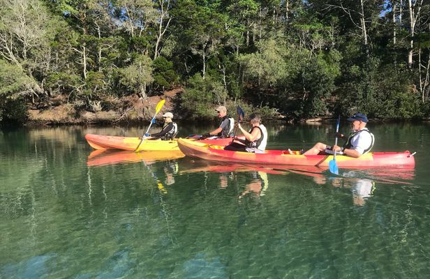 Brunswick River nature kayak tour