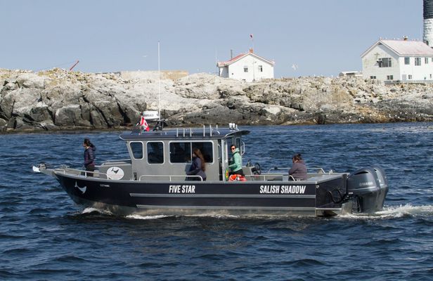 Marine wildlife tour in Victoria