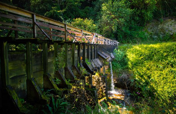 Adventure tour of Kohala waterfalls