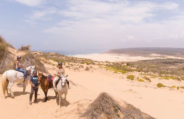 Discover Carrapateira horse riding tour