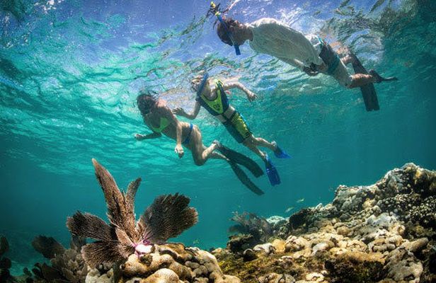 Florida Keys marine eco-adventure