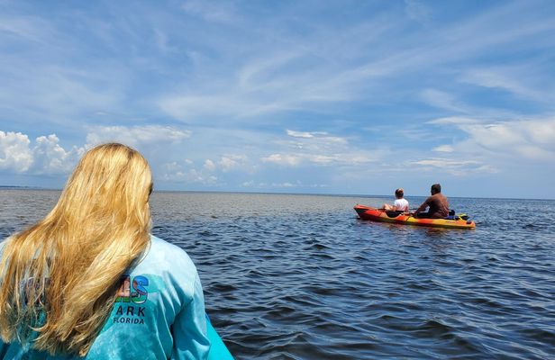 Full-day hiking and paddling tour in Everglades National Park