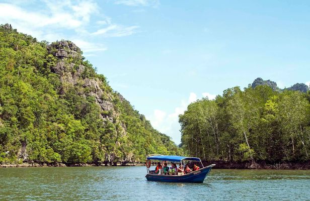 Langkawi mangrove river cruise half-day experience