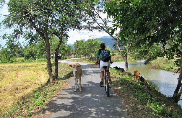 Evening cycling the Langkawi nature trails