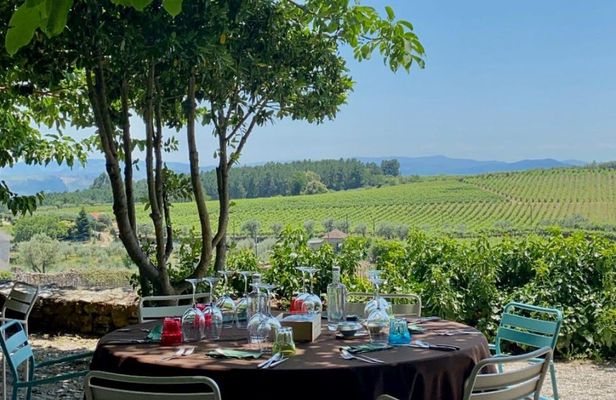 Full-day wine tour of Douro Valley