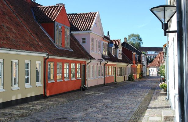 Odense private walking tour