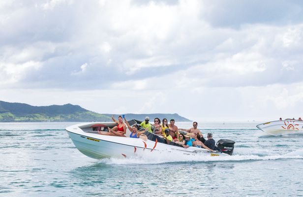 Mauritius five island private speedboat hire