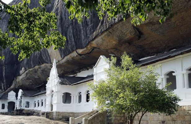 Sigiriya and Dambulla private tour from Galle region