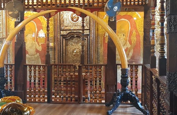 Kandy day tour from Negombo region