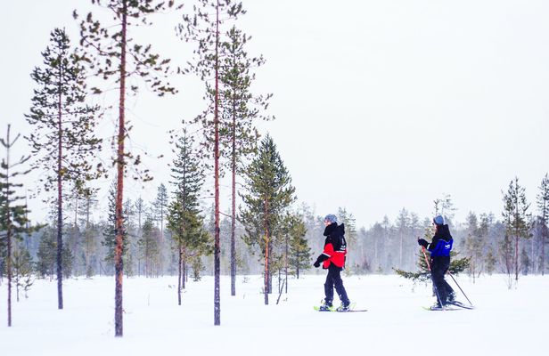 Ivalo snowshoeing and ice fishing combo tour
