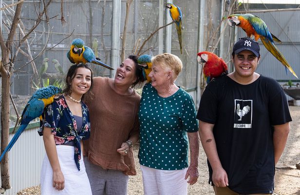 Entrance tickets for Maleny Botanic Gardens and Bird World