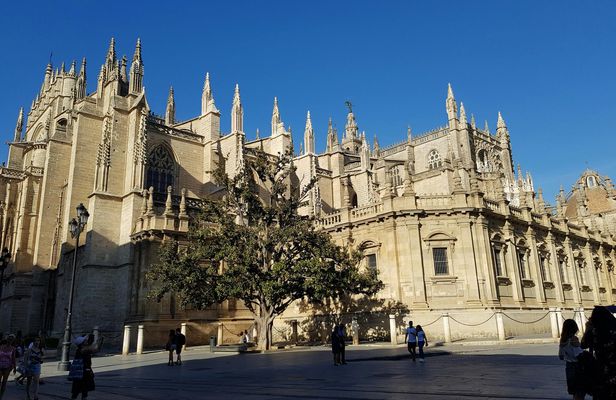 Sevilla Alcázar and cathedral guided tour with priority access tickets