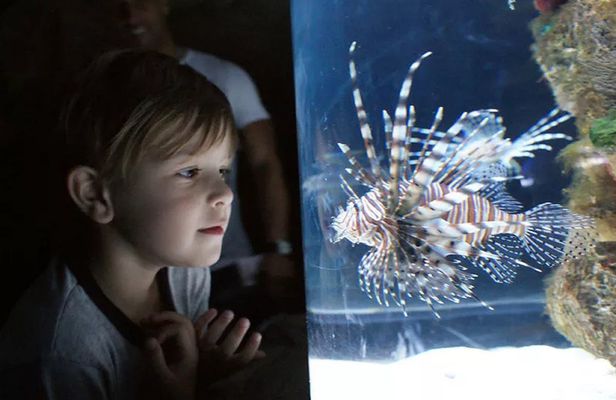 Temaiken Biopark tour from Buenos Aires