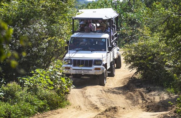 Udawalawe National Park private safari from Negombo region