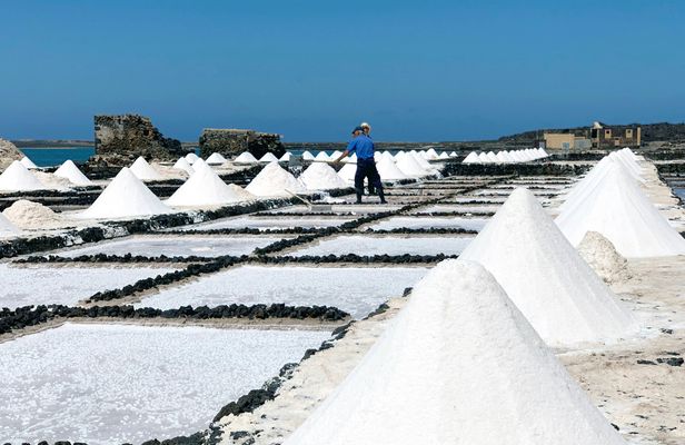Salinas de Janubio Salt Flats Ticket