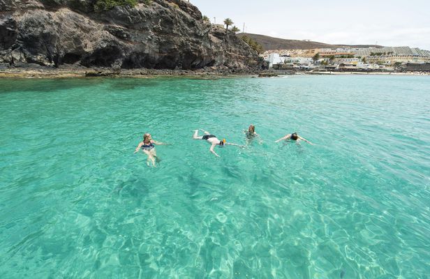 Sailing experience  with dolphin watching  in Fuerteventura