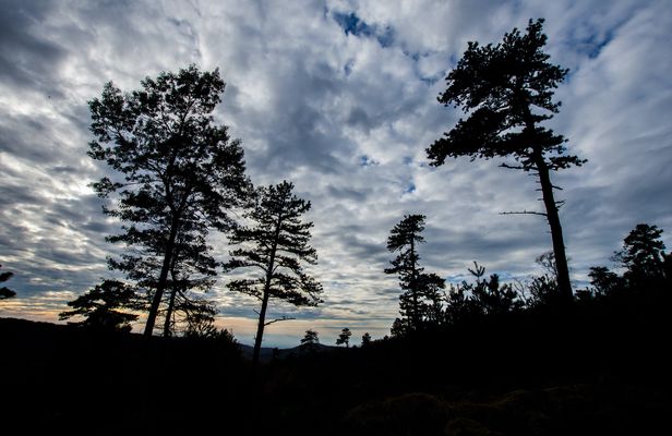 Intro to Michaux State Forest bike tour