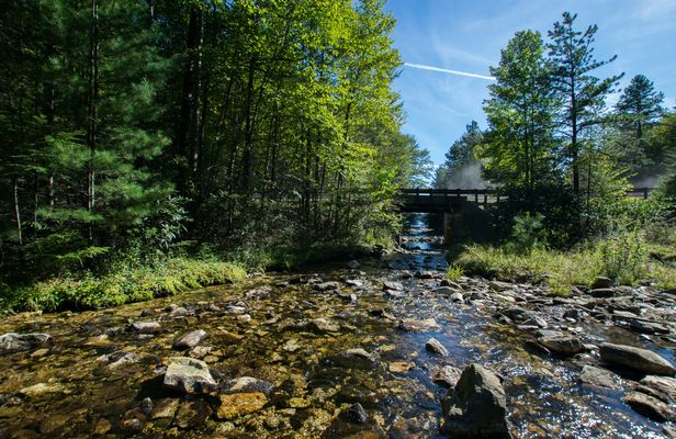 Michaux State Forest couple's bike ride
