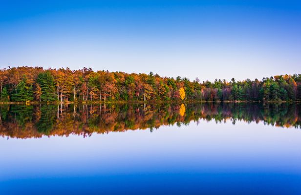 Michaux State Forest half-day bike tour