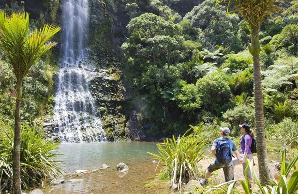 Auckland City and West Coast luxury small-group tour