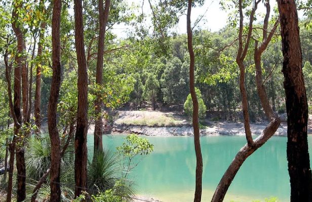 Guided hike in Araluen botanic park