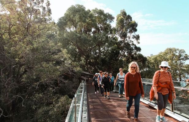 Guided Hike of the highlights of Kings Park