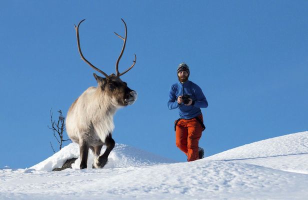 Arctic nature tour