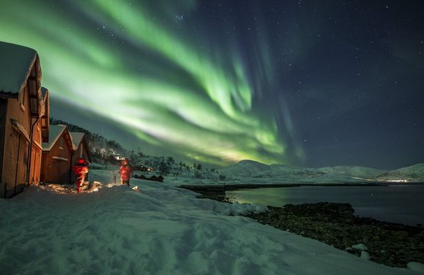 Northern lights tour