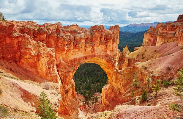 Bryce Canyon's 1.5h Horseback Riding Adventure