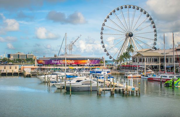 Biscayne Bay cruise with optional hop-on hop-off bus and Skyviews wheel