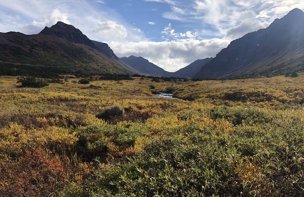 Flora and fauna nature walk in the Glen Alps