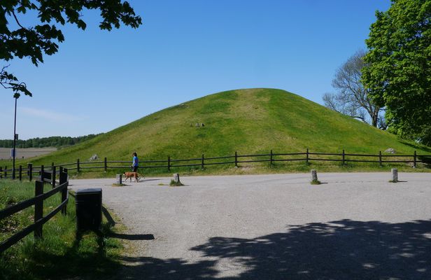 Guided Viking and vendel era walking tour in historic Uppsala