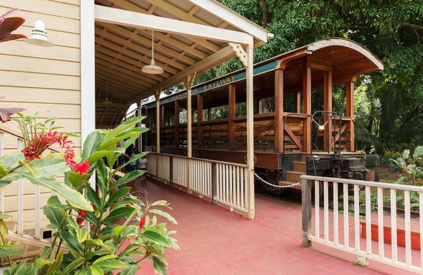 Luau Kalamaku Hawaiian Package with Train Ride Experience