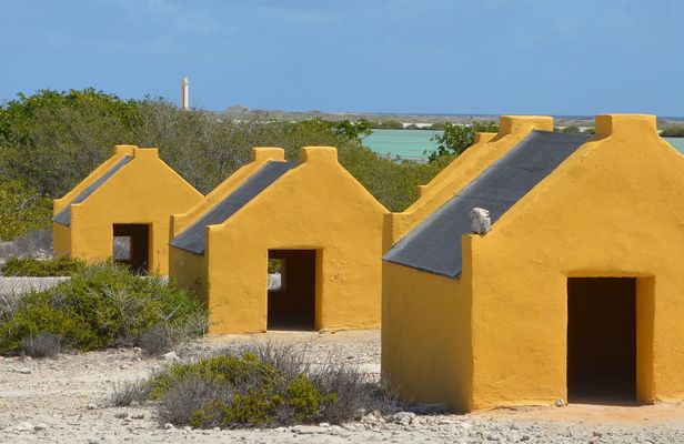 Discover Bonaire on a guided island tour