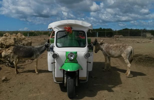 Donkey sanctuary visit by tuk-tuk