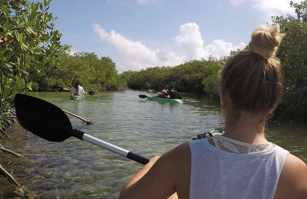 Lac Cai glass-bottom kayak and snorkel mangrove experience