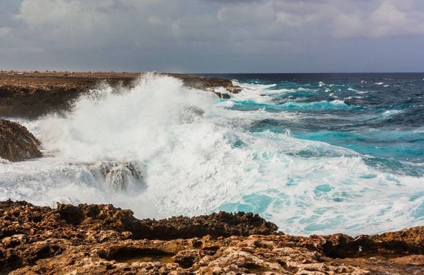 Guided tour to Washington-Slagbaai national park